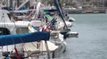 Boats In Marina HD Footage