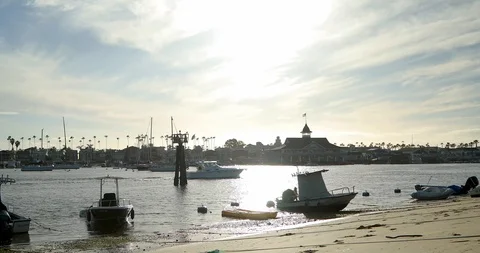 Boats by the Marina Stock Footage 101563615