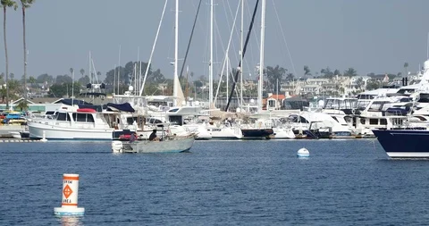 Boats at Marina Stock Footage 102417755