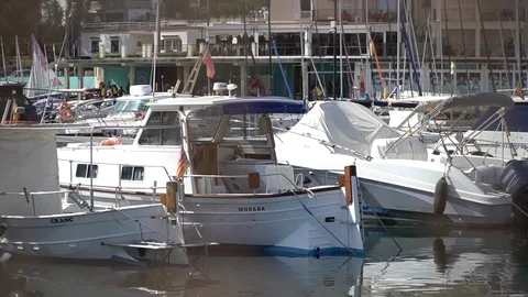 Boats in marina Stock Footage 128349842