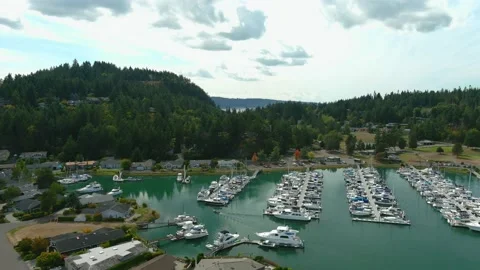BOATS IN MARINA Stock Footage 183536401