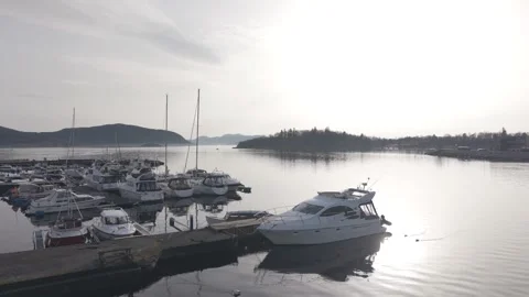 Boats in a marina Video stock 331029181