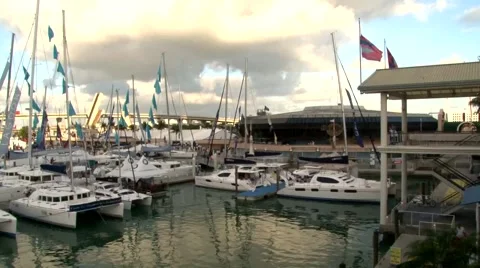 Boats in Miami 스톡 동영상 1090781