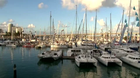 Boats in Miami 스톡 동영상 1090802