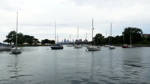 Boats Montrose Harbor with view of Chicago Skyline Stock Footage 168302953