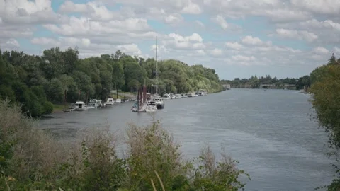 Boats moored along the tree-lined banks of the Sacramento River Stock Footage 344992057