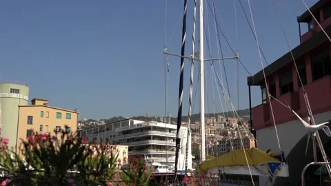 Boats moored in the harbor Video stock 138608145