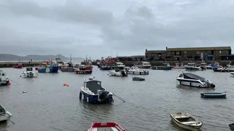 Boats moored in a harbour Stock-Footage 219738086