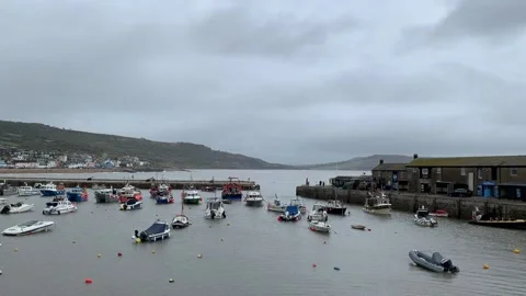 Boats moored up in a harbour Stock-Footage 219738089