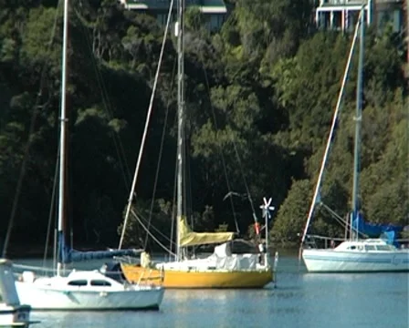 Boats on mooring Vídeo Stock 8778020