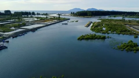 Boats navigate the tranquil river flowing into the vast ocean Stock Footage 319518004