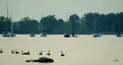 Boats on Ottawa River 스톡 동영상 172456468