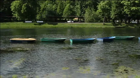 Boats in the park Stock Footage 5504355