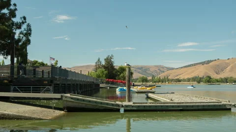 Boats at Park Stock Footage 41458240