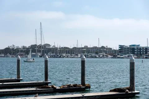 Boats in a peaceful harbor Stock Photos
