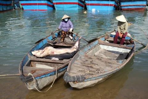 Boats Stock Photos
