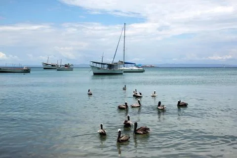 Boats Stock Photos