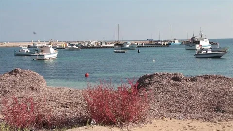 Boats resting sitting in water ocean off coast on bright calm day Stock Footage 252153279