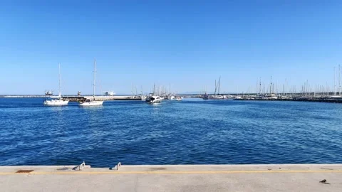 Boats returning to the pier Stock Footage 134454528