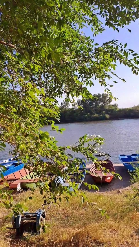 Boats on the River Bank Video Video stock 251142353