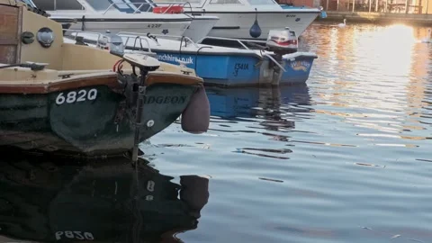 Boats on the river Vídeo Stock 251593670