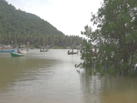 Boats in sea Stock Footage 80796325
