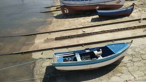 Boats Seagulls Video stock 75286888