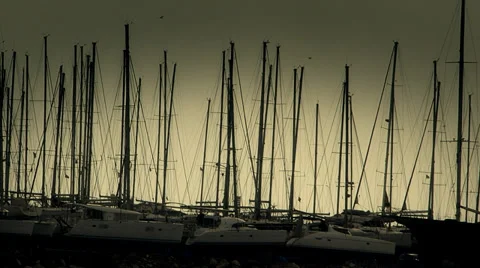 Boats in series Stock Footage 33844481