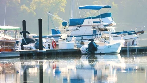 Boats tied at dock Stock Footage 135990189