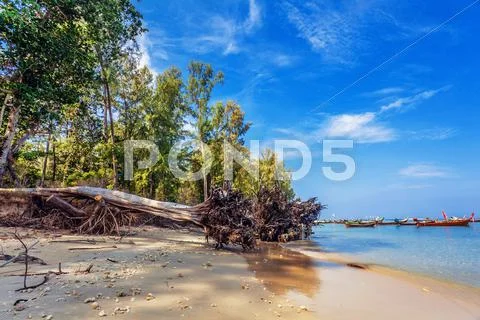Boats in the tropical sea. thailand Stock Photos