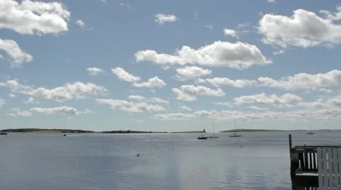 Boats on Water Vidéo 11886941
