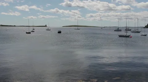 Boats on Water Vidéo 11887240