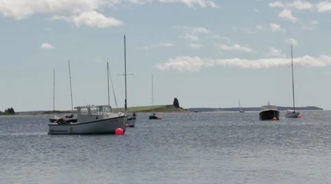 Boats on Water Vidéo 11887473