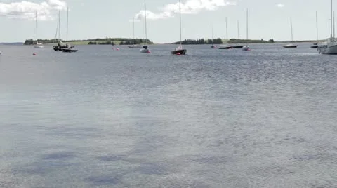 Boats on Water Vidéo 11887499