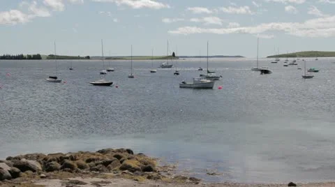 Boats on Water Vídeo Stock 11887525