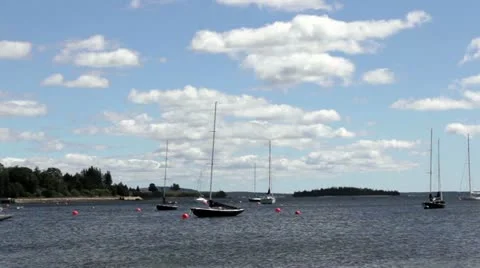 Boats on Water Vidéo 11890620