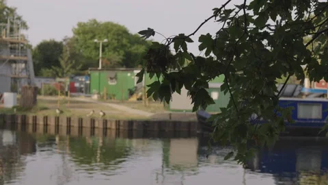 Boatyard and Moored Barges Framed by Leaves, Geese on Towpath Stock Footage 341429912