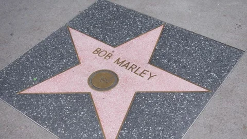 Bob Marley star Stock Footage 299774199