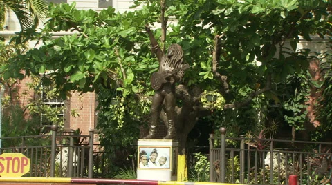 Bob Marley statue, Bob Marley Museum, 56 Hope Road, Kingston Video stock 50449569