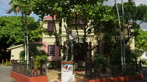 Bob Marley Statue in front of the Bob Marley Museum,Kingston, Jamaica Stock Footage 139006025