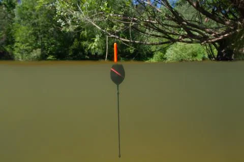 A bobber floats vertically in a forest stream Stock Photos