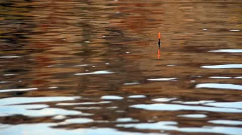 Bobber 스톡 동영상 8952439