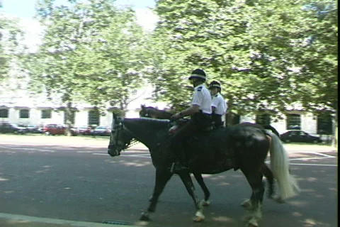 Bobbies on Horseback Stock-Footage 816552