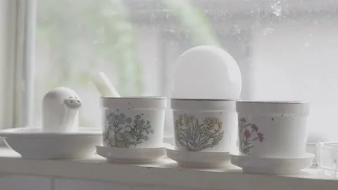 Bobby's day. Stock Footage 144276377