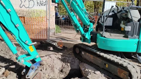 Bobcat Stock Footage 329838108