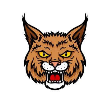 Bobcat lynx head muzzle vector mascot icon Stock Illustration