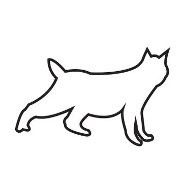 Bobcat outline on white background Stock Illustration