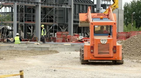 Bobcat at plant Stock Footage 51352146
