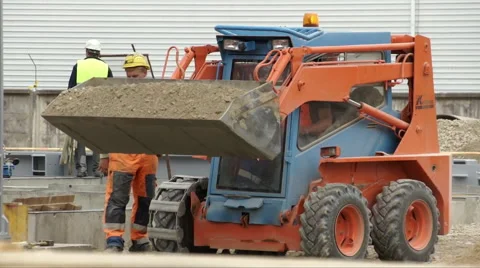 Bobcat shot Stock Footage 51352725