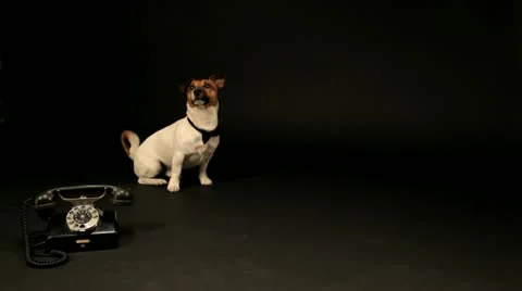 Bobek06 库存影片 11143574